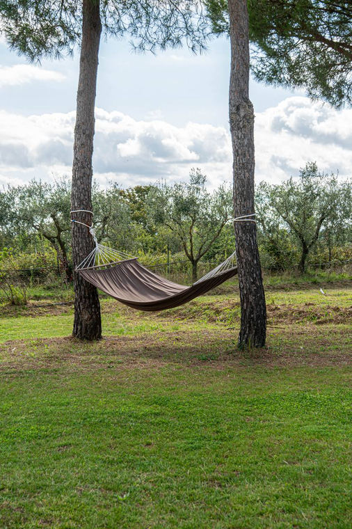 Agriturismo Il Sogno, foto 5