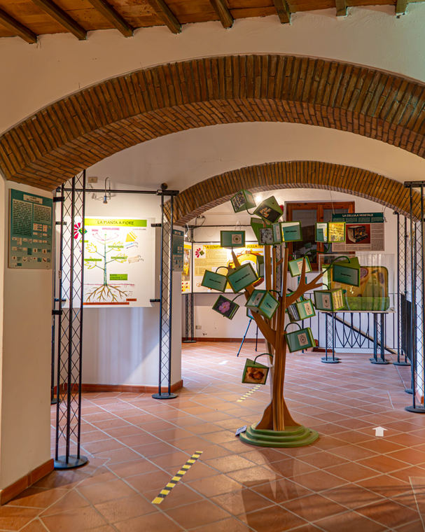Musei di Acquapendente, foto 5